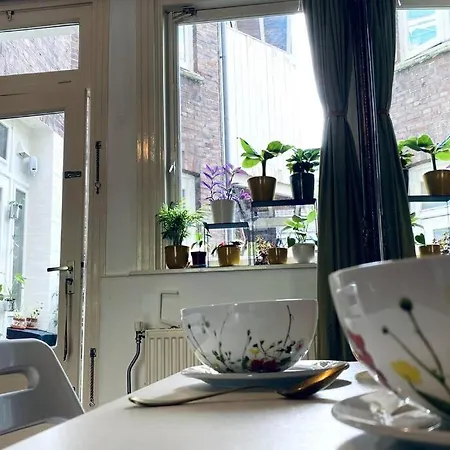 Amsterdam City Garden *