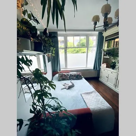 Amsterdam City Garden * 암스테르담